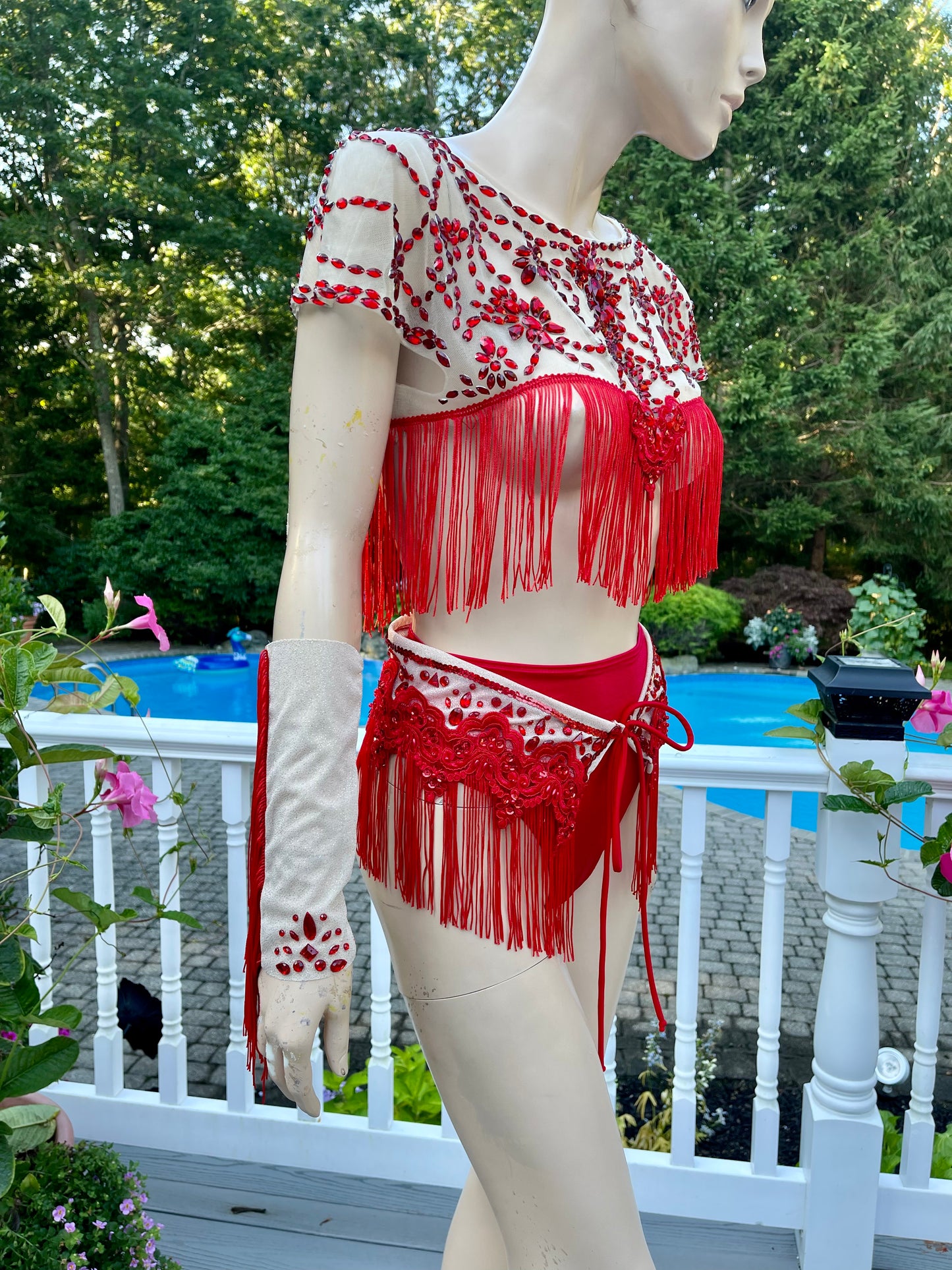 Ruby Red Spandex Mesh Crop Top with Matching Bottom